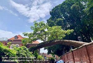 XIAMEN 09